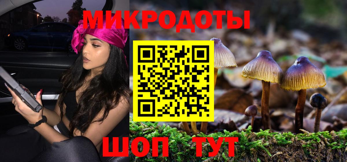 Комсомольск-на-Амуре  Псилоцибиновые грибы мухоморы  Вход с VPN  Галлюциногенные грибы Psilocybe 