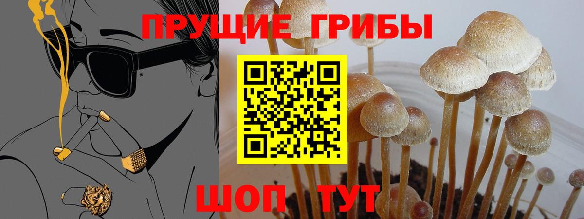 Галлюциногенные грибы Magic Shrooms Комсомольск-на-Амуре